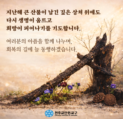 산불1주기